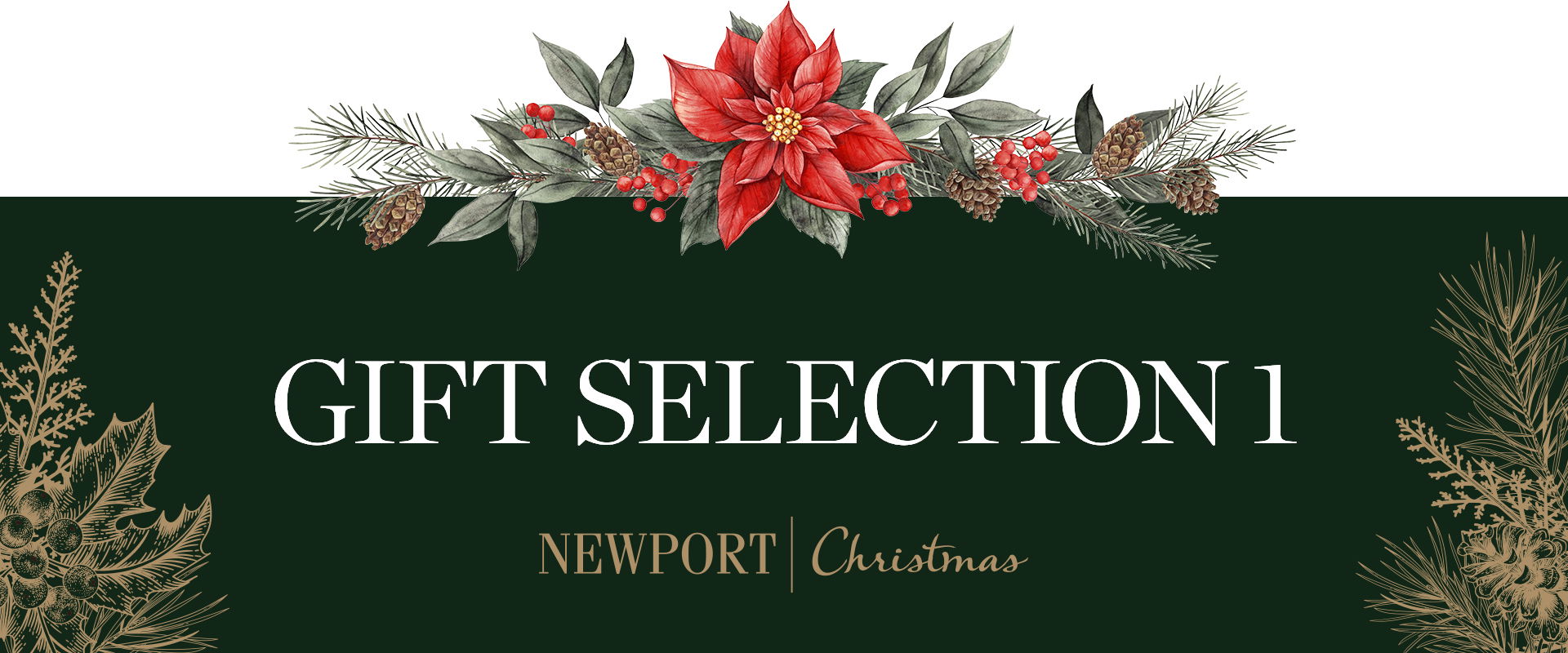 Newport image