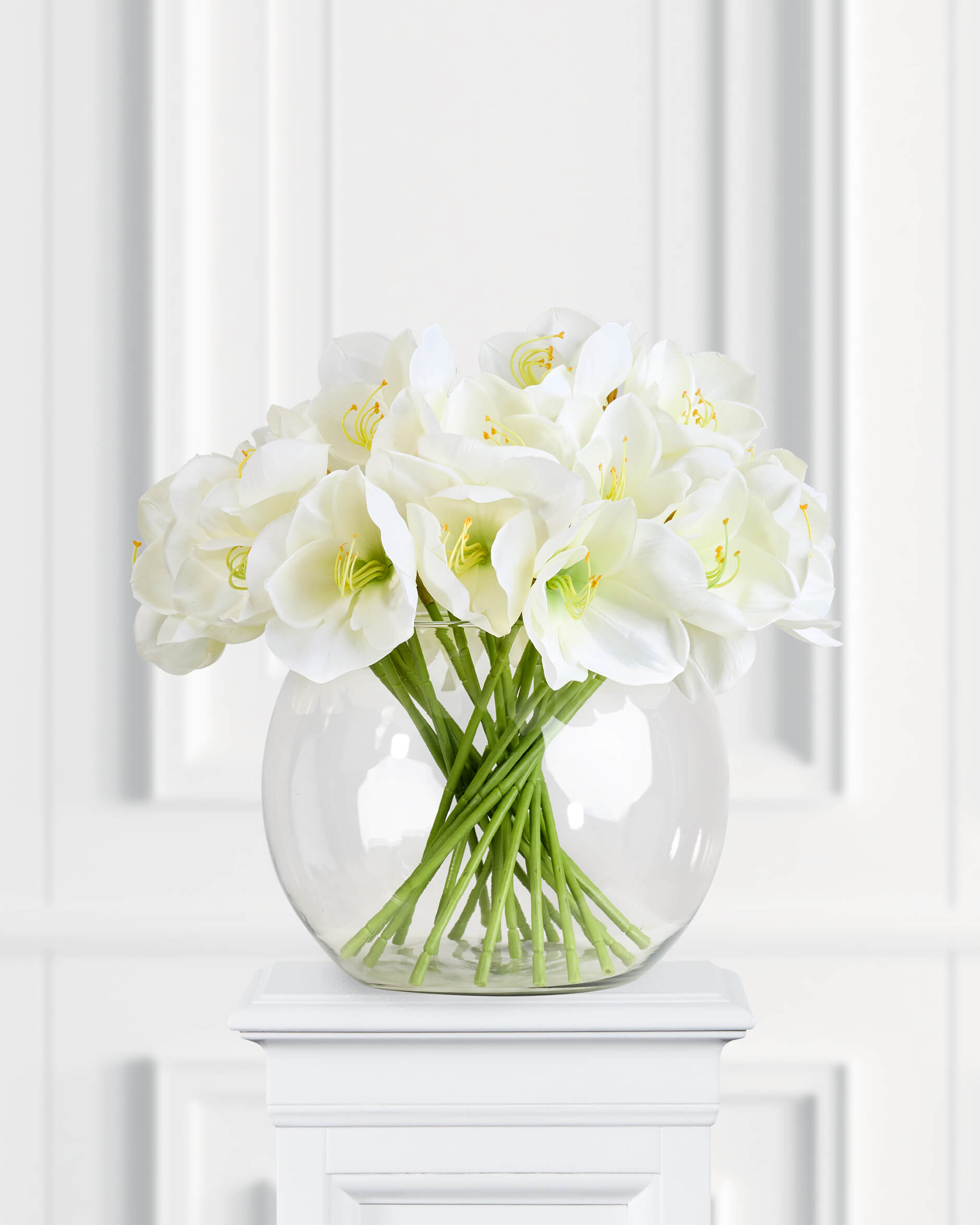 Amaryllis snittblomma vit