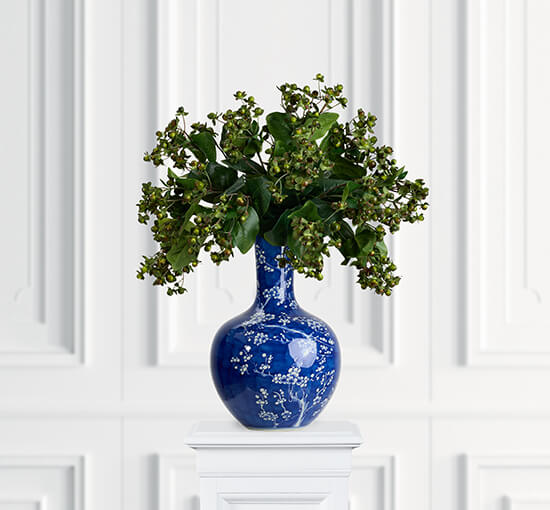 null - Hypericum Cut Flower Creme