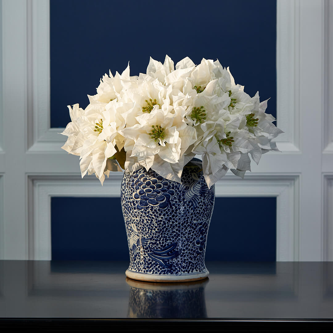 Poinsettia Cut Flower White