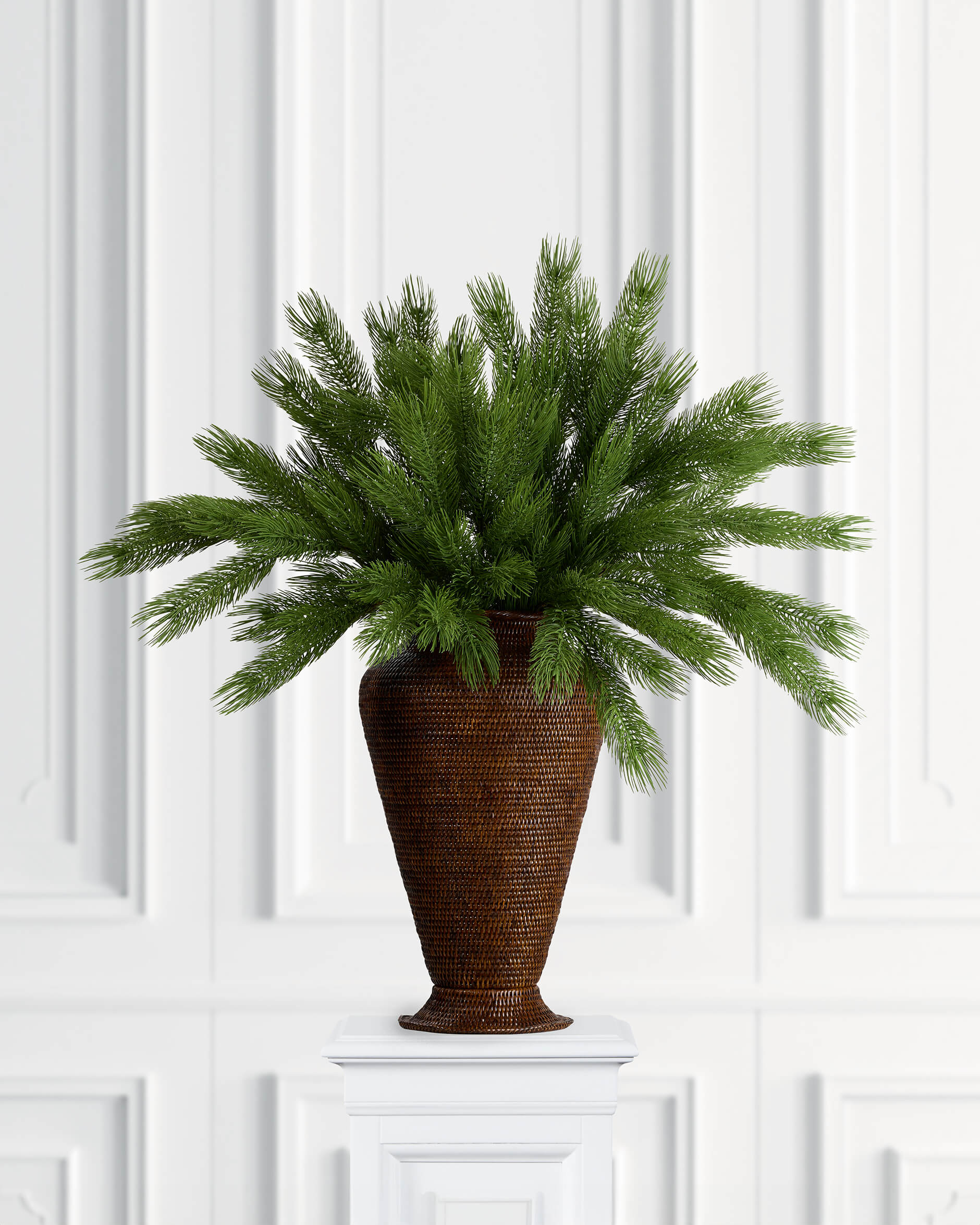 Forrest tallkvist grön