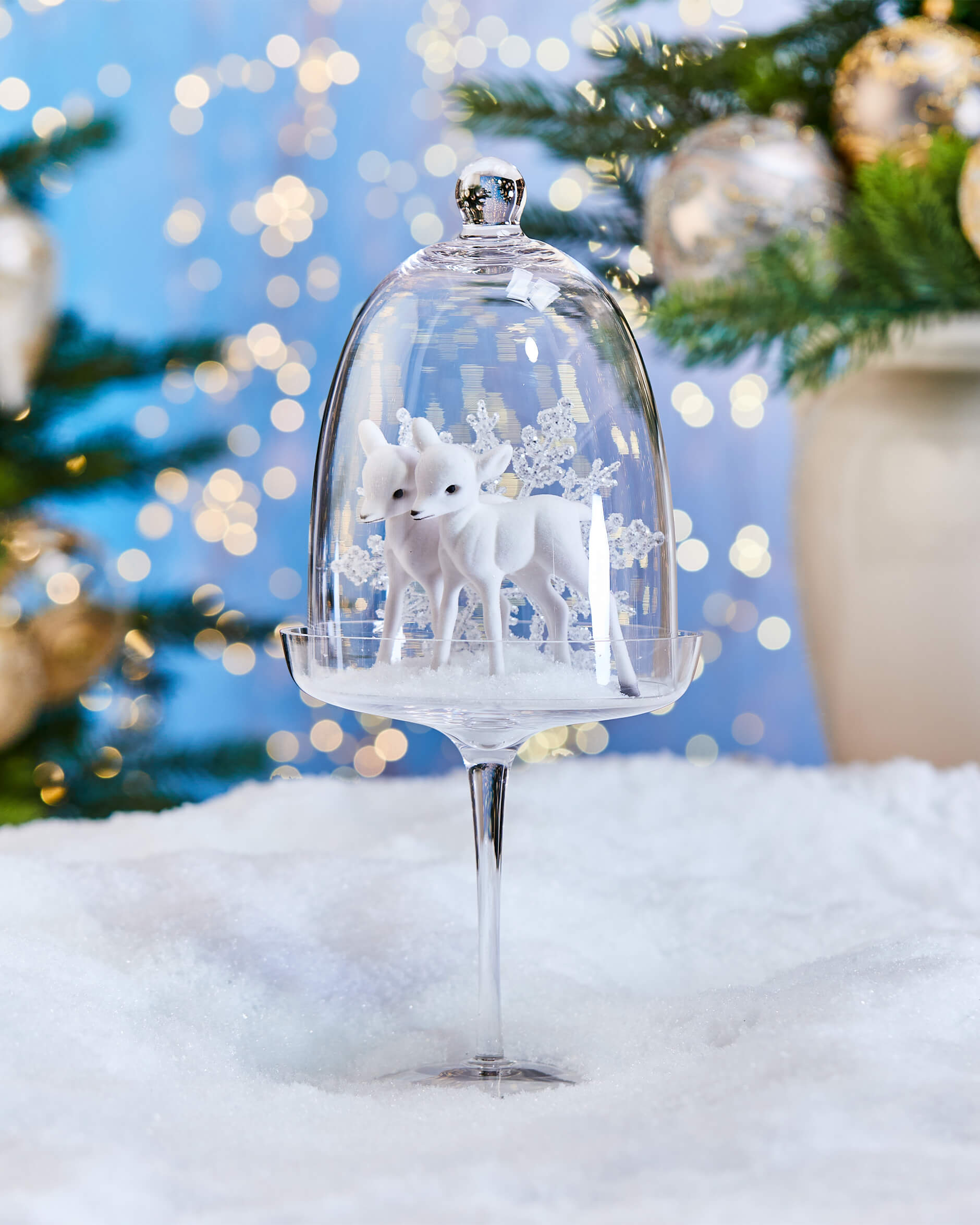 Chocolat kakfat på fot