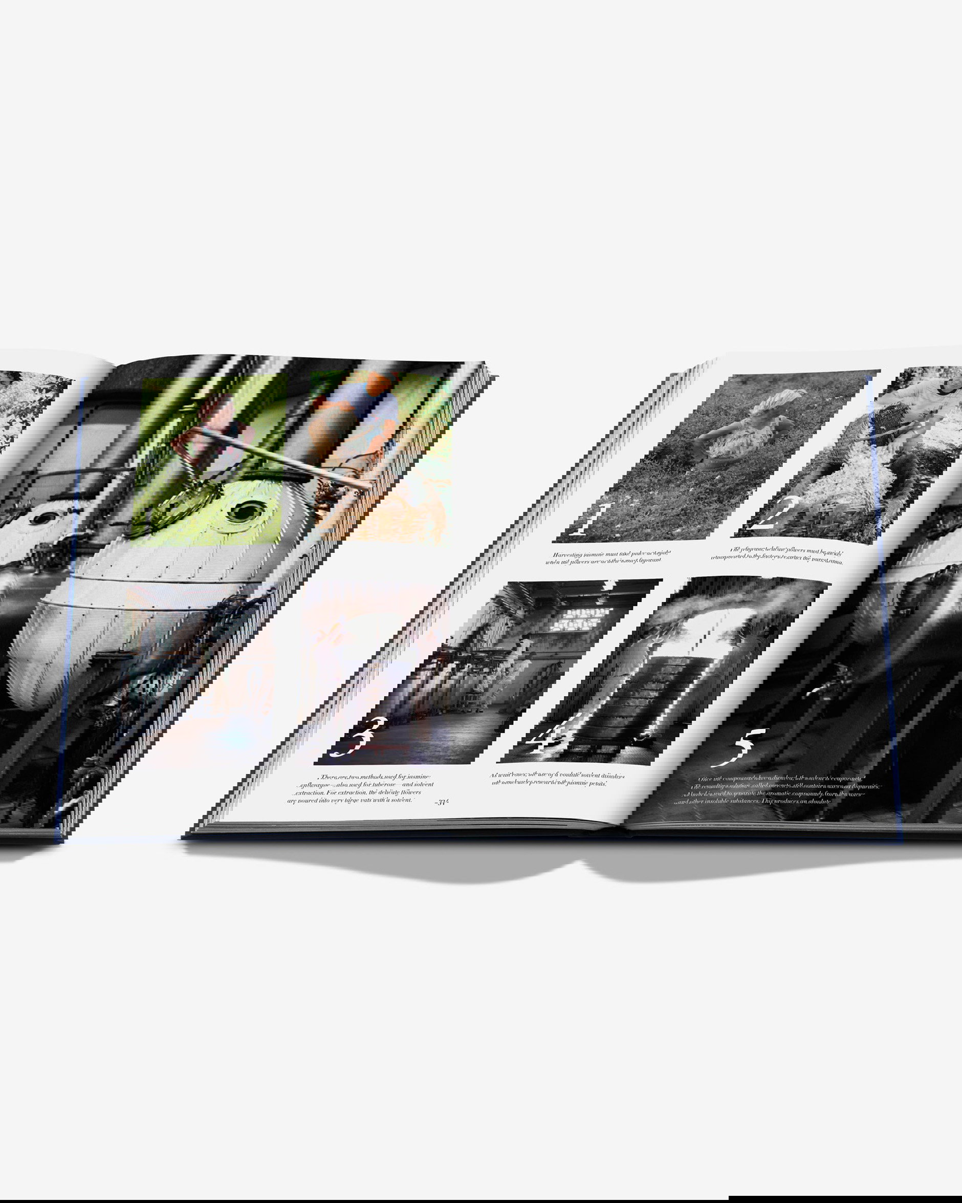 Robertet: From Seed to Scent