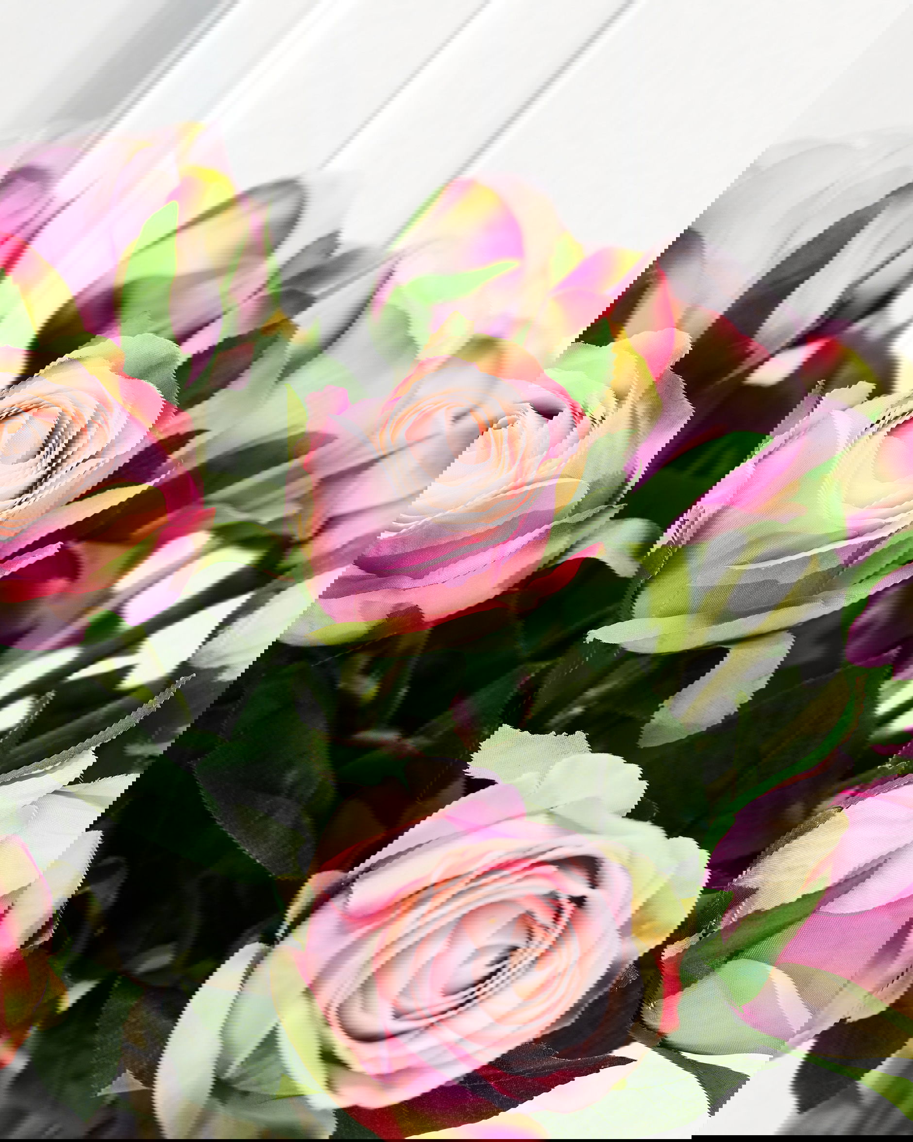 Rose Schnittblume rosa