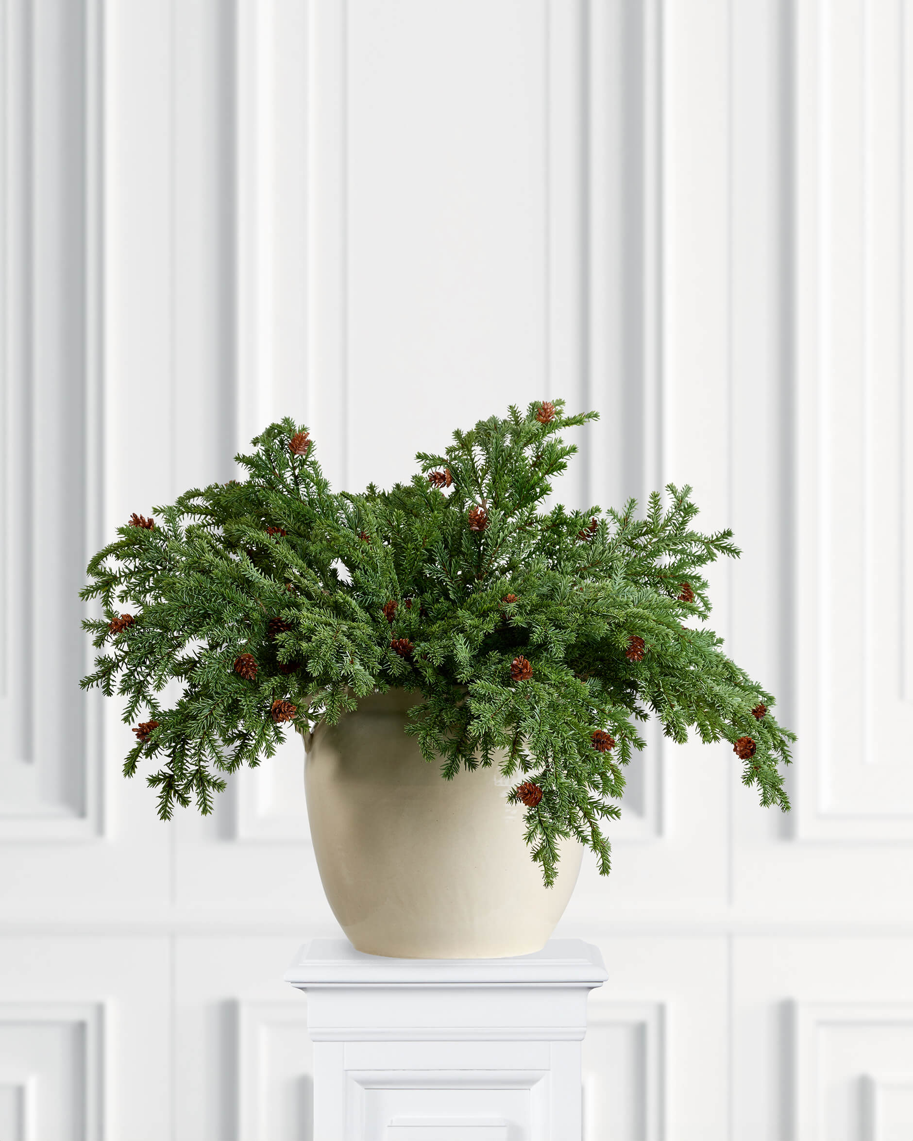 Wilfred grankvist kottar