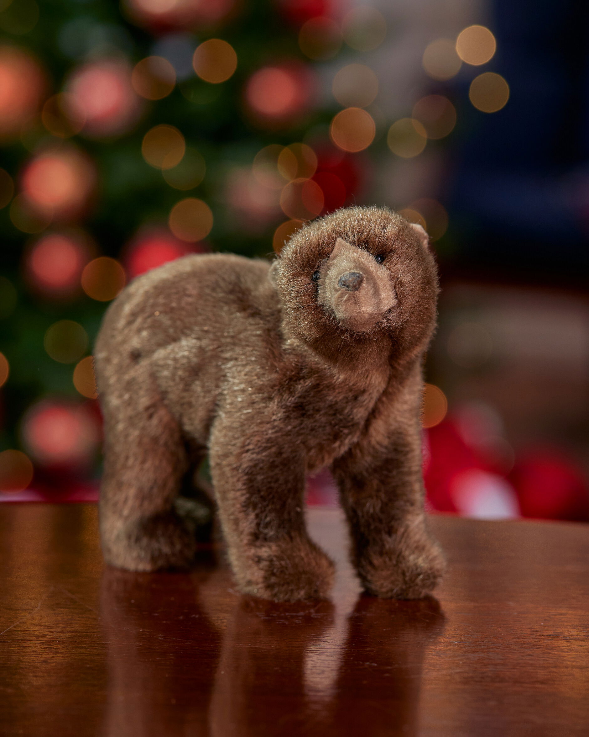 Constantin Bär Dekoration