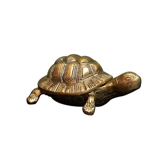 Skildpadde æske messing