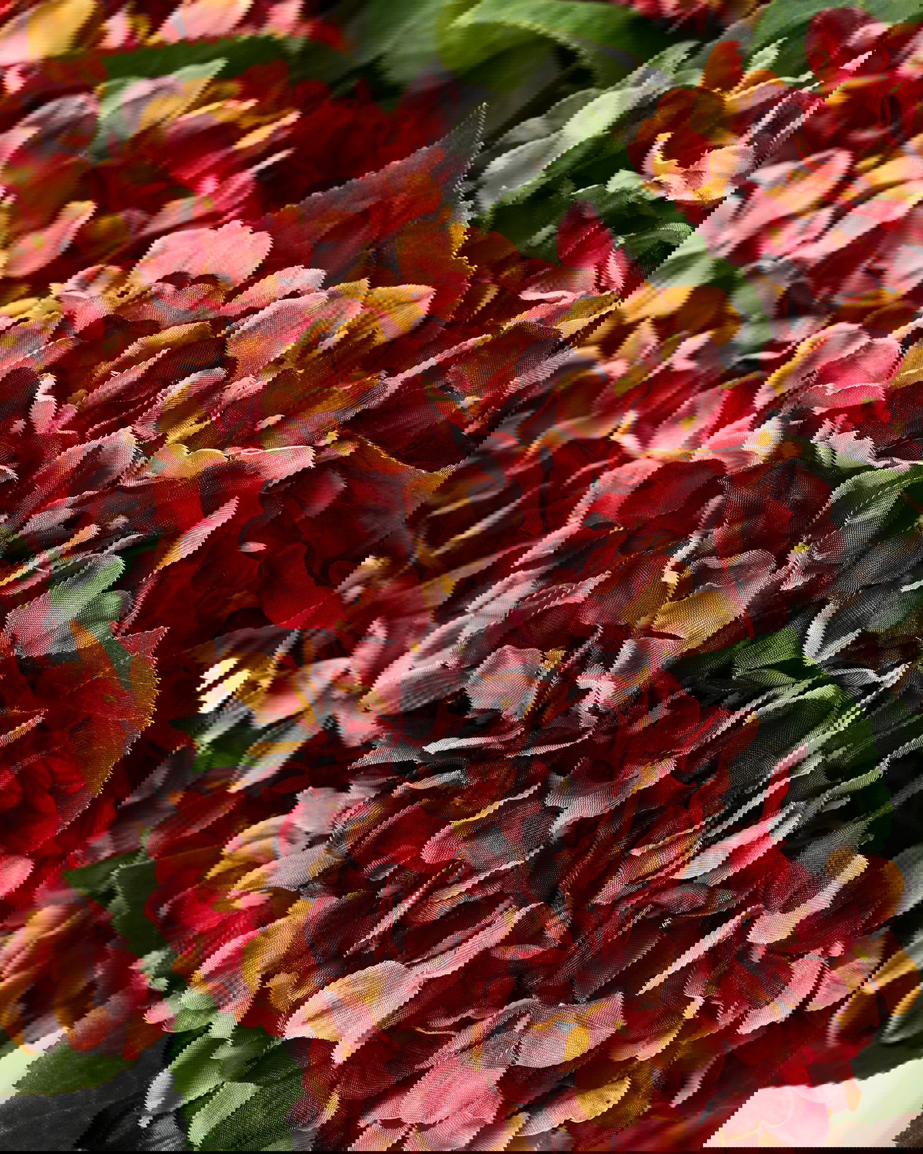 Hydrangea cut flower (red)