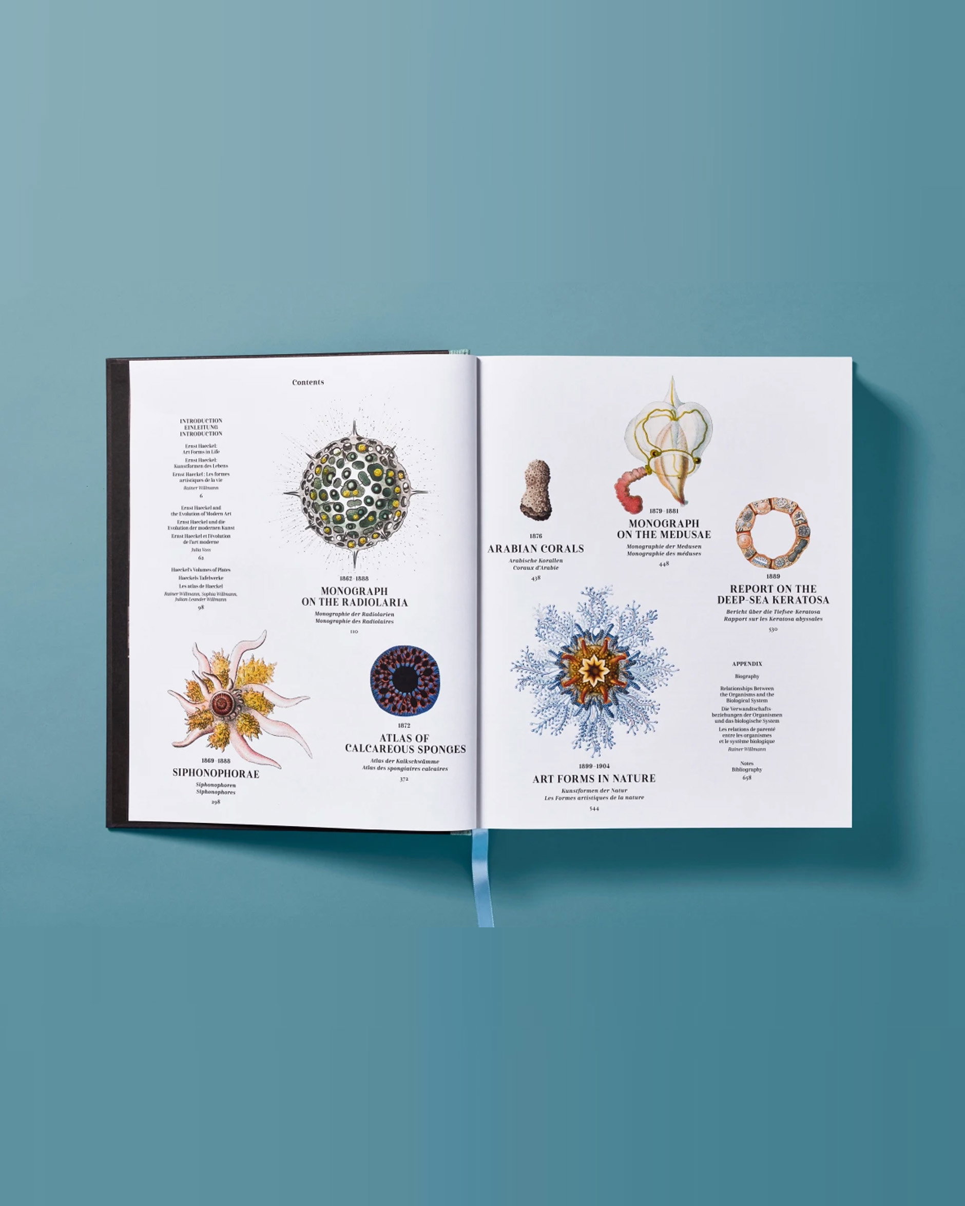 The Art and Science of Ernst Haeckel
