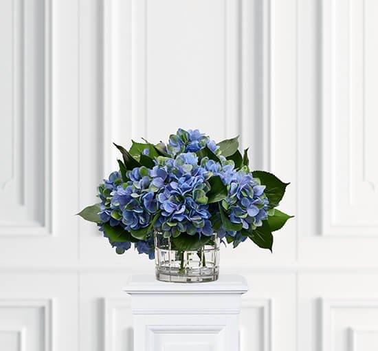 Blå - Hortensia snittblomma lila/grön