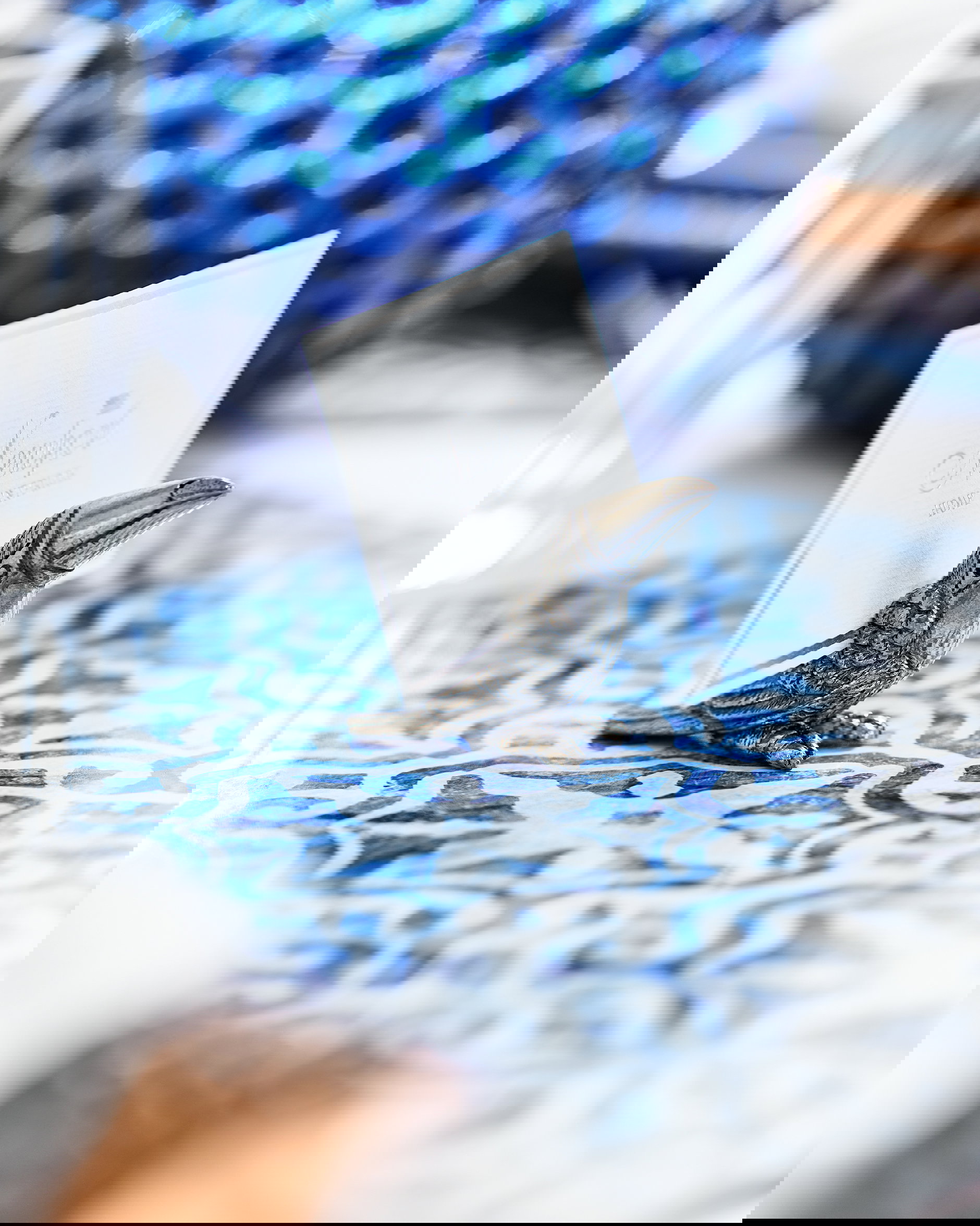 Bordkortholder tocotucan tinn