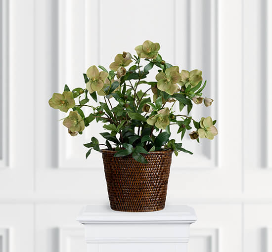 Pink - Christmas Rose Artificial Plant Pink