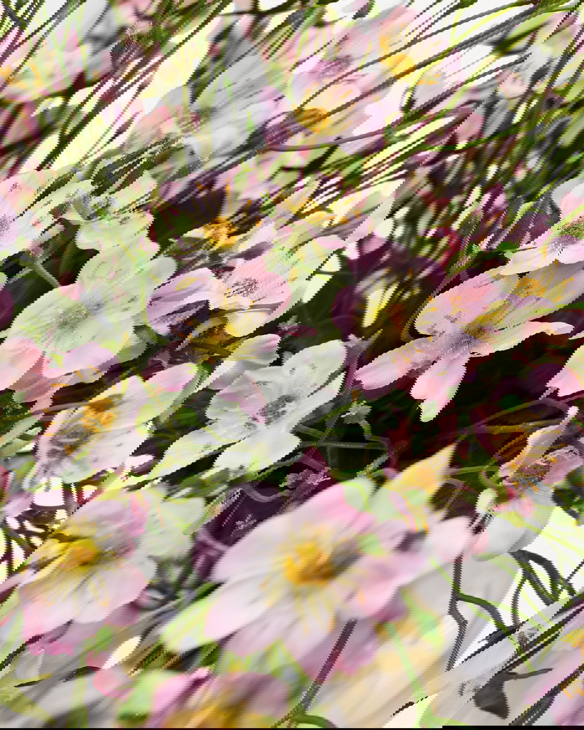 Japanse klimroos snijbloem roze