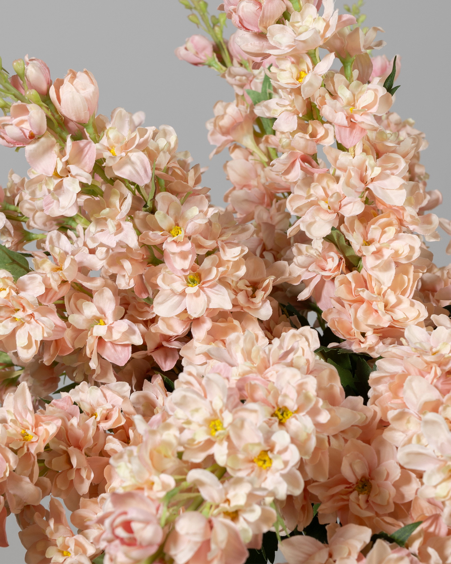 Delphinium snittblomma rosa