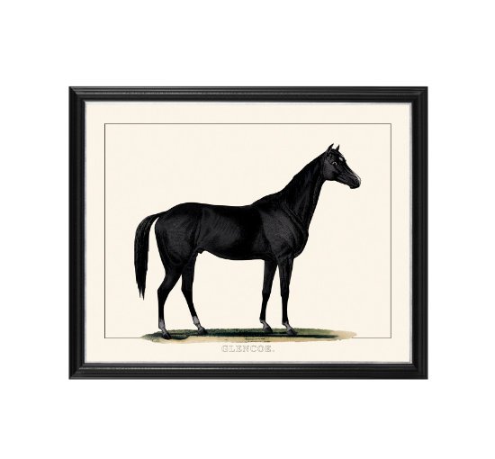 Black Horse I