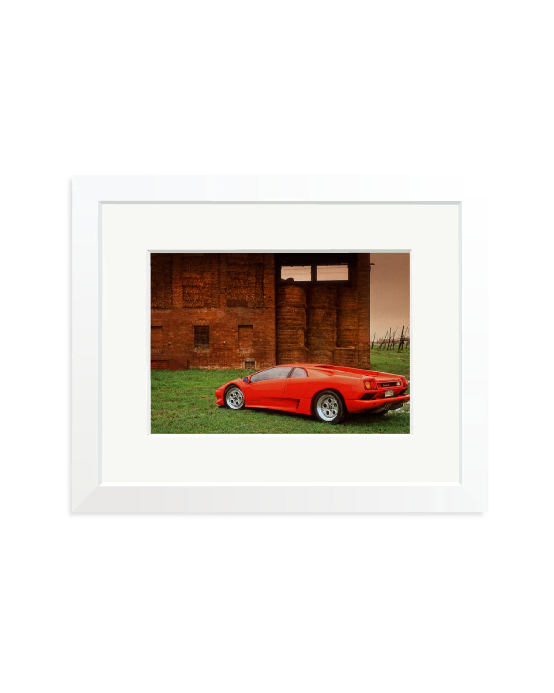 Lamborghini VT White / Small