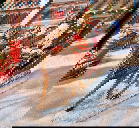 tomte i släde juldekoration