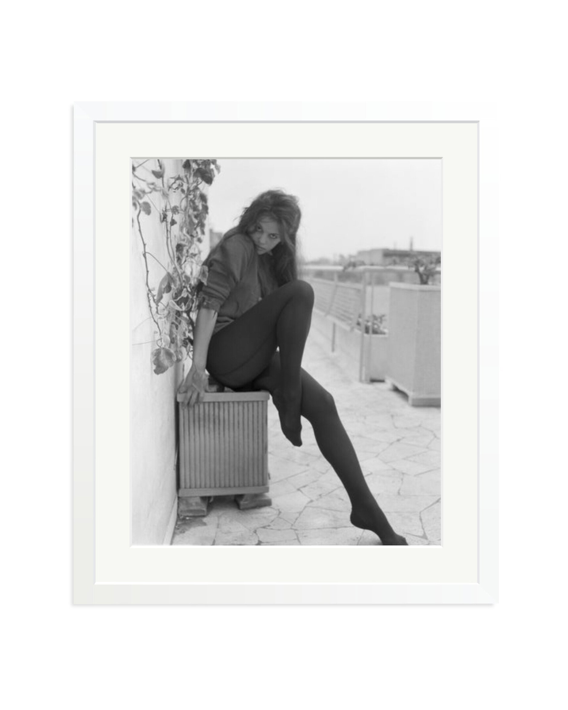 Cardinale Posing in Rome White / Large