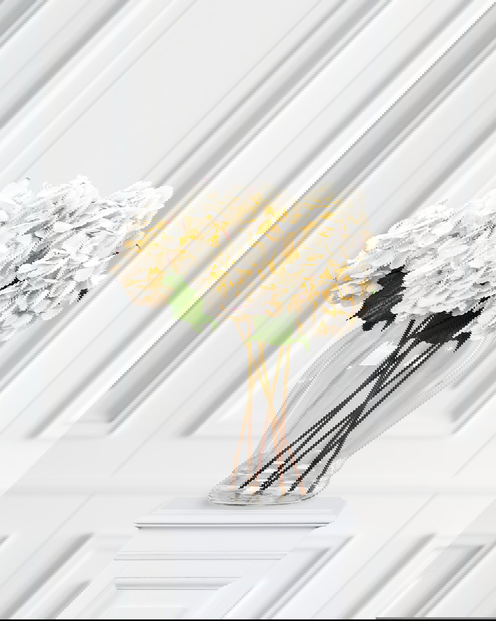 Hortensie Schnittblume weiß