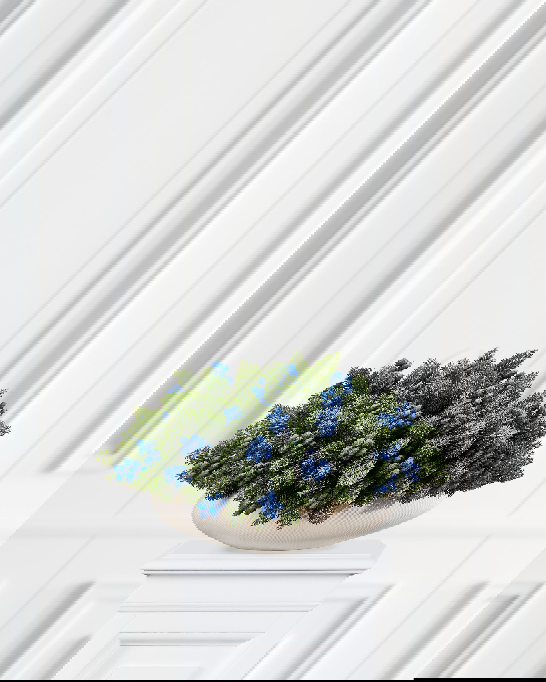 Vinterbär kvist blåa bär