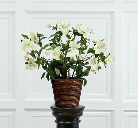 Wit - Christmas Rose Artificial Plant White