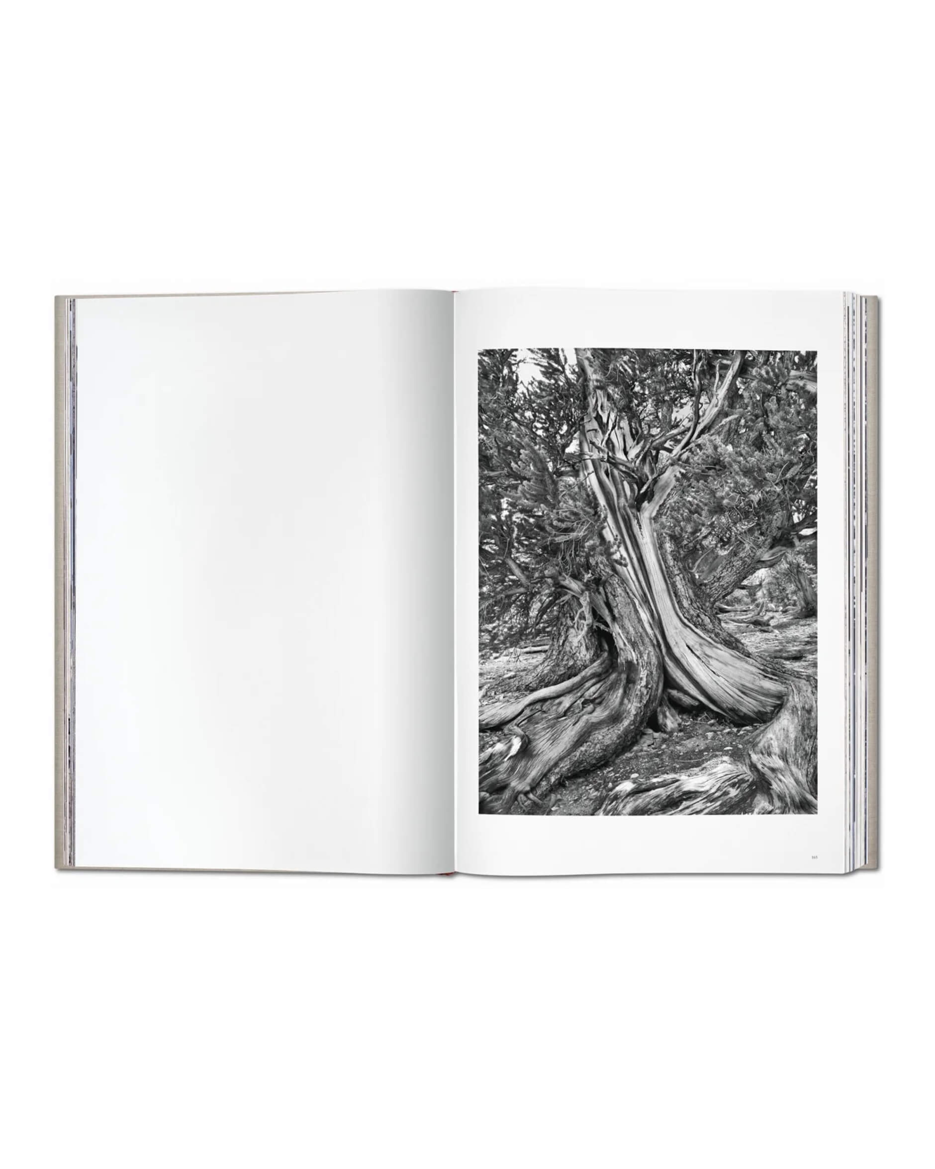 Sebastião Salgado Genesis SUMO