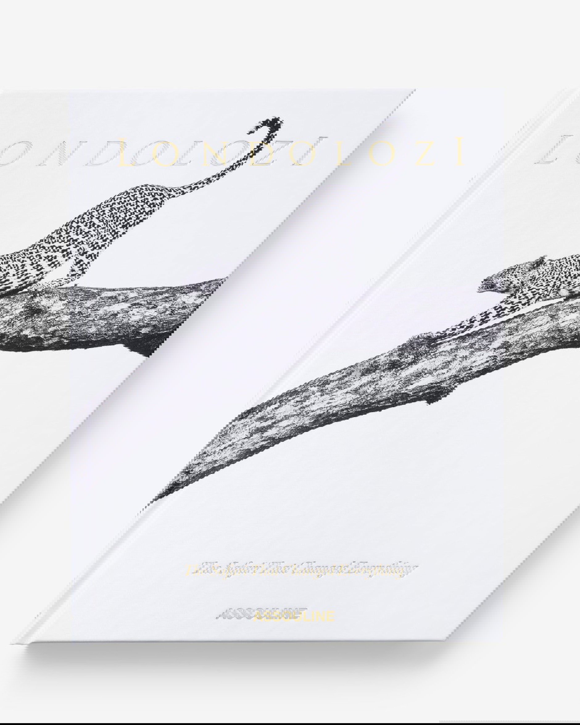 Londolozi, The Safari that Changed Everything