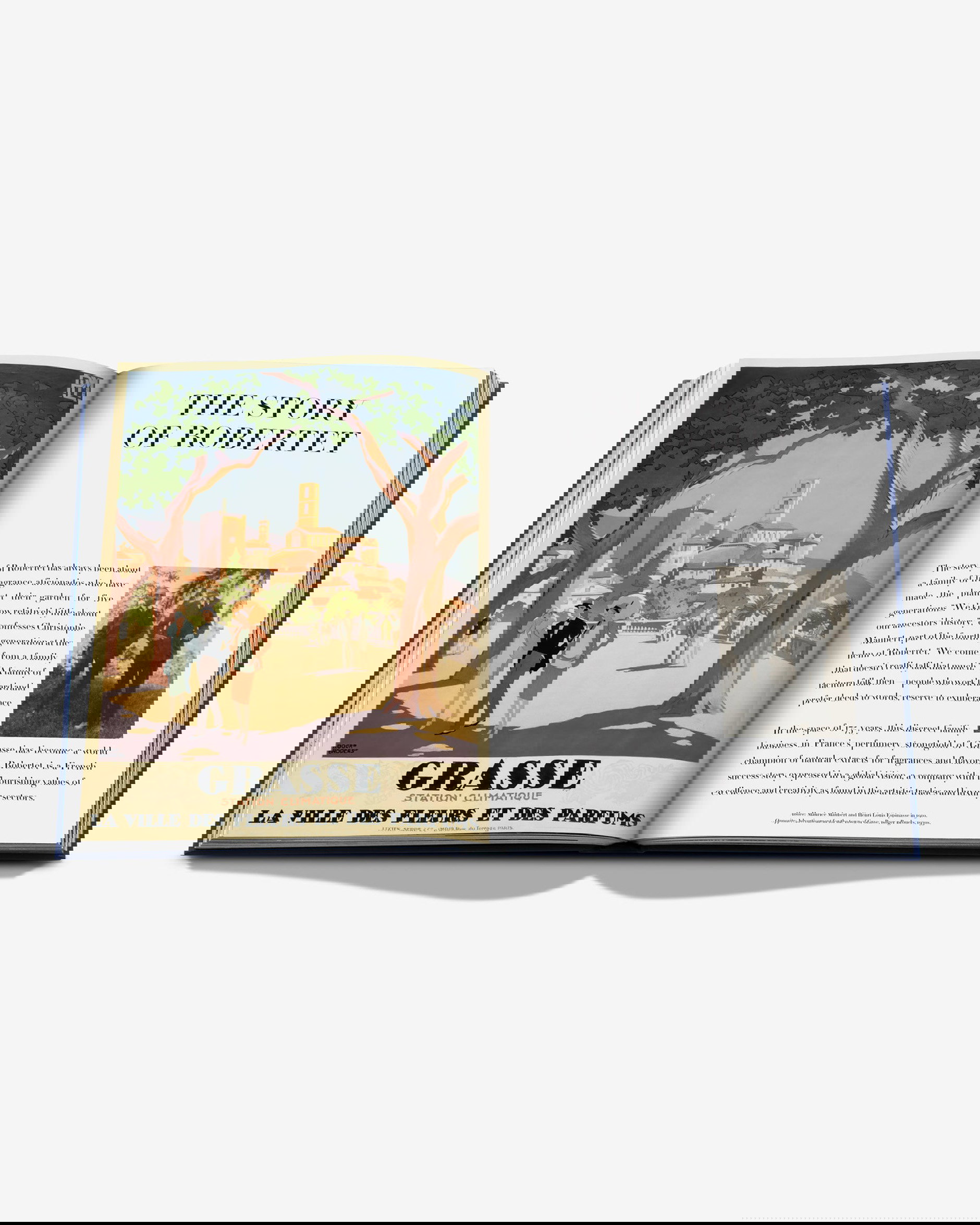 Robertet: From Seed to Scent