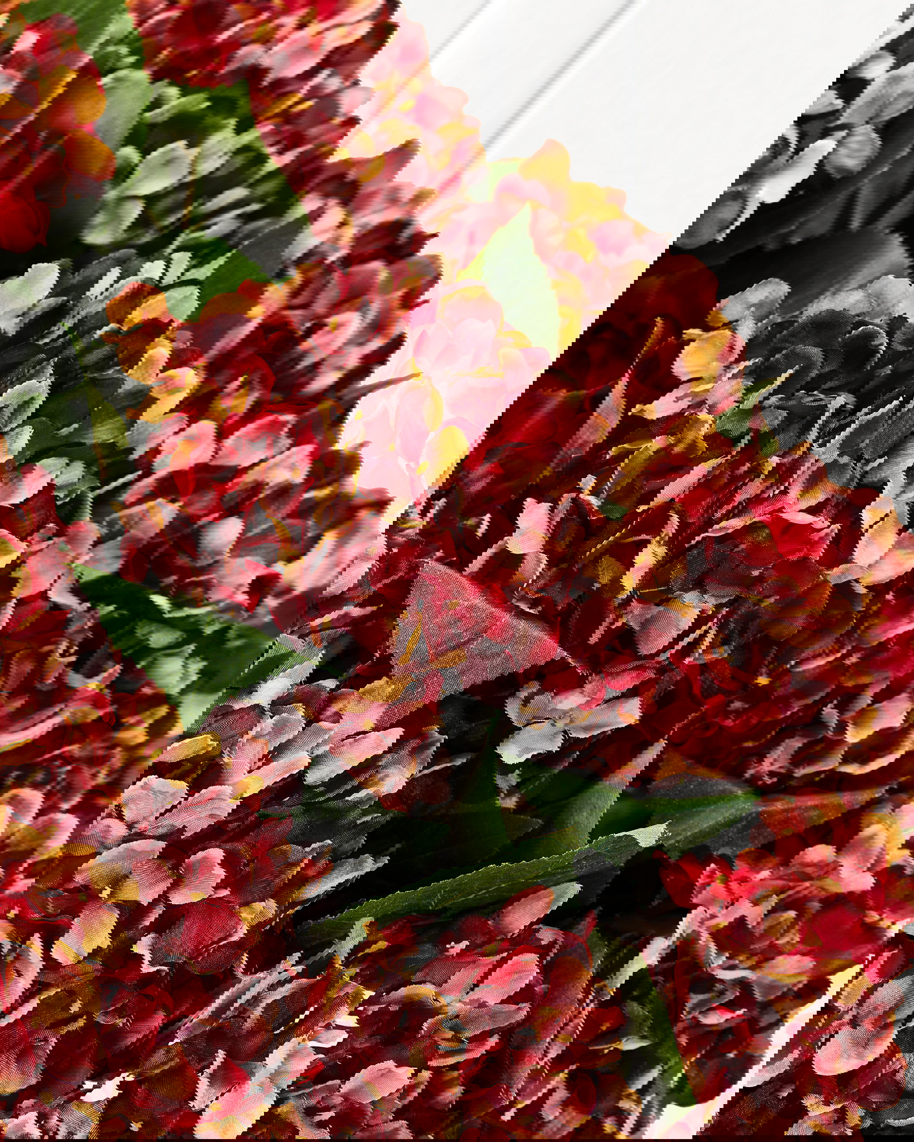 Hydrangea cut flower (red)