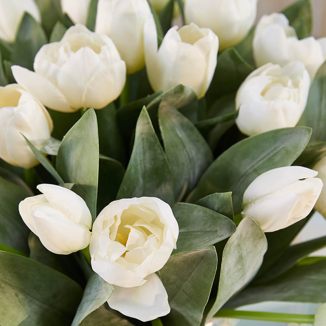 Newport.fi – Huonekalut, design ja kodin sisustus