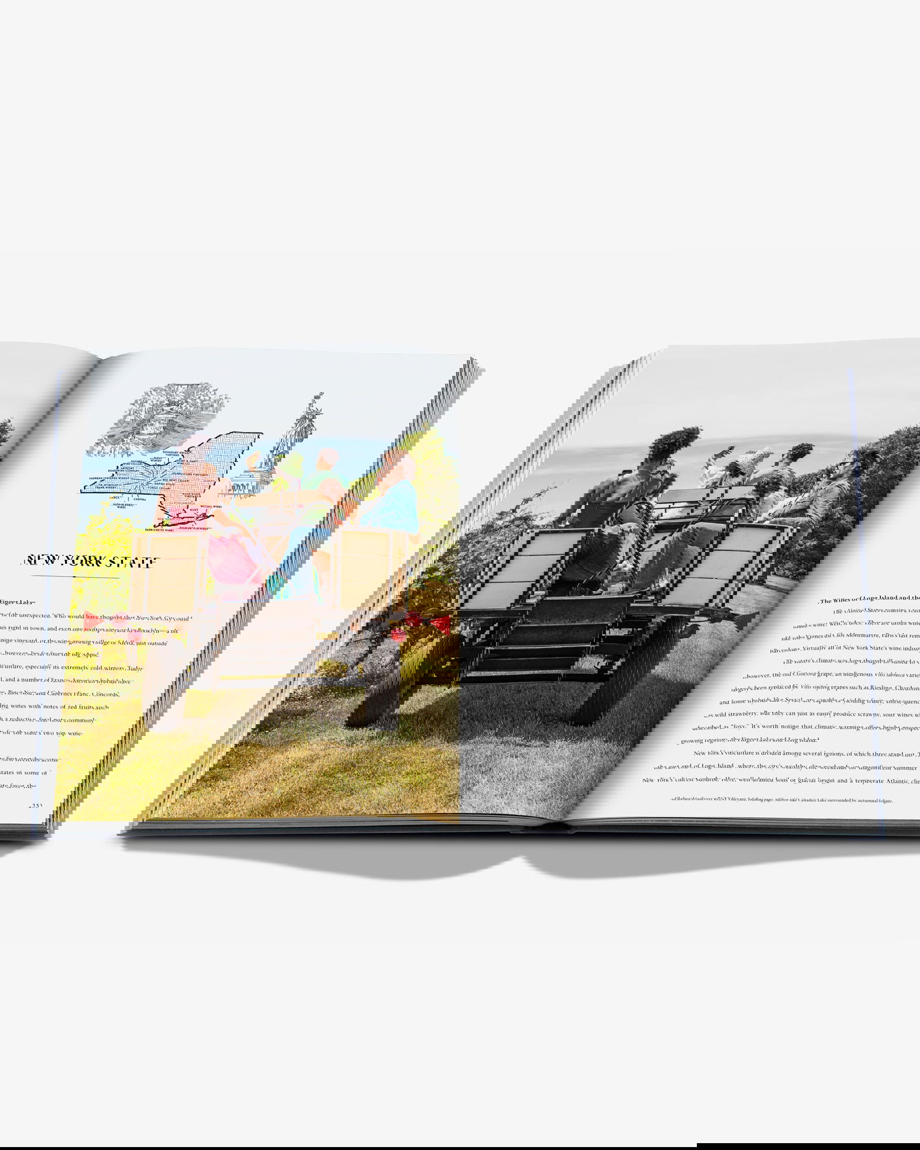 Wine & Travel United States of America