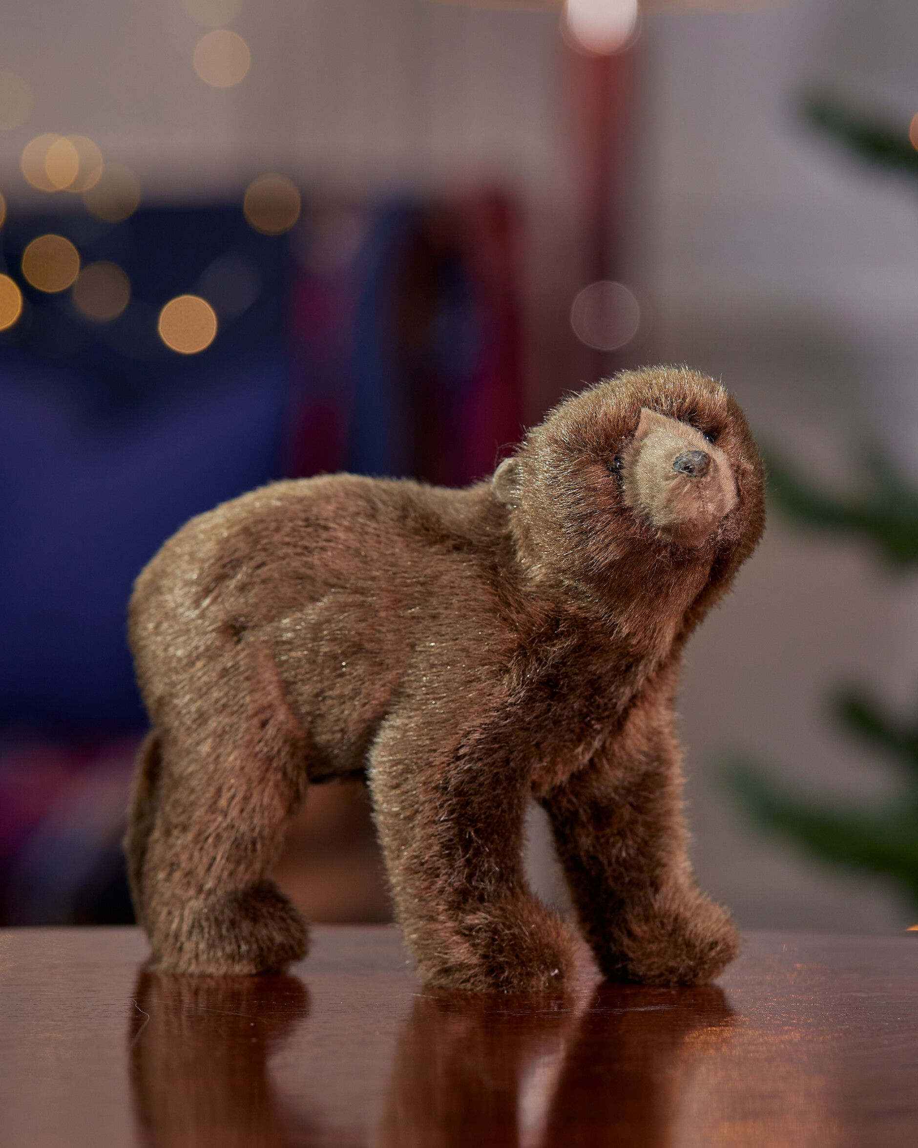 Constantin Bär Dekoration