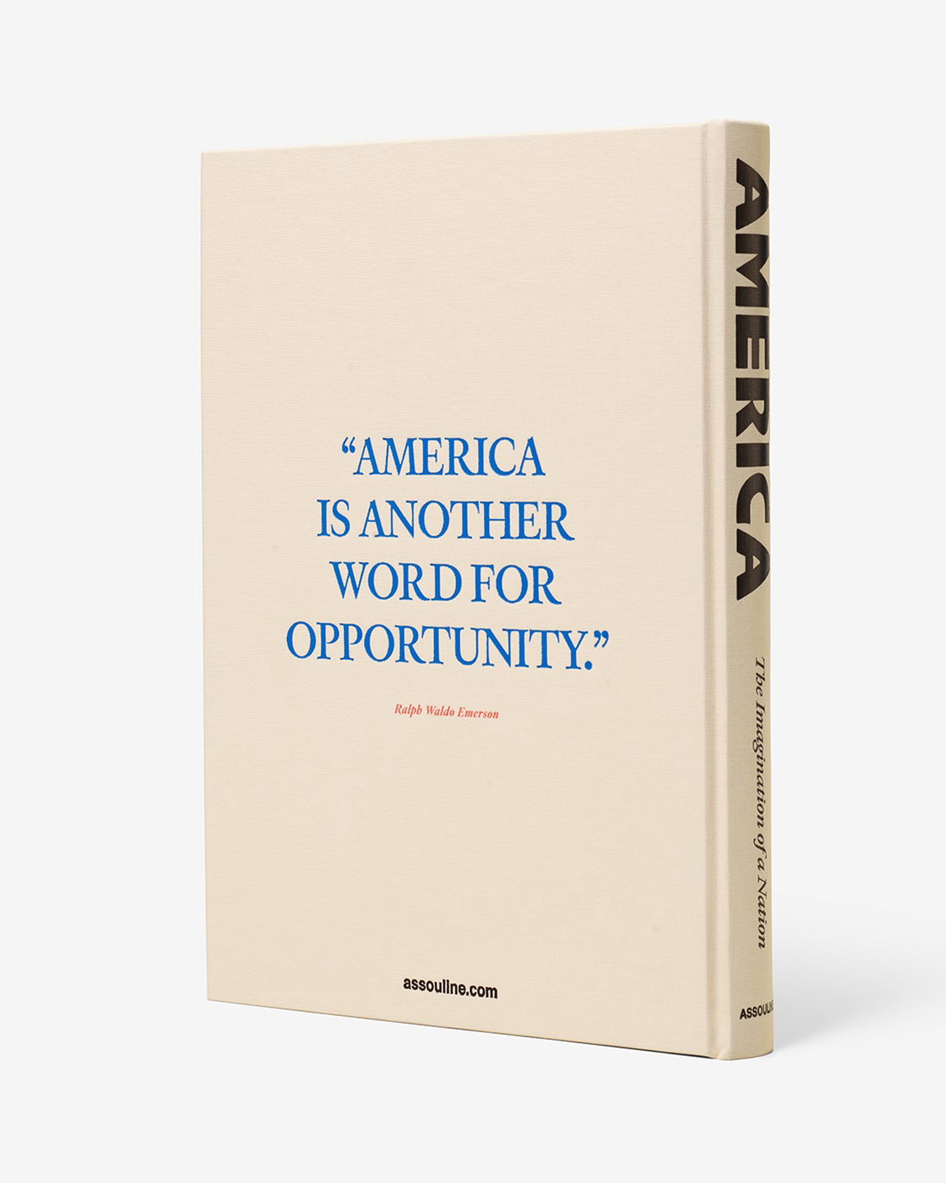 America: The Imagination of a Nation