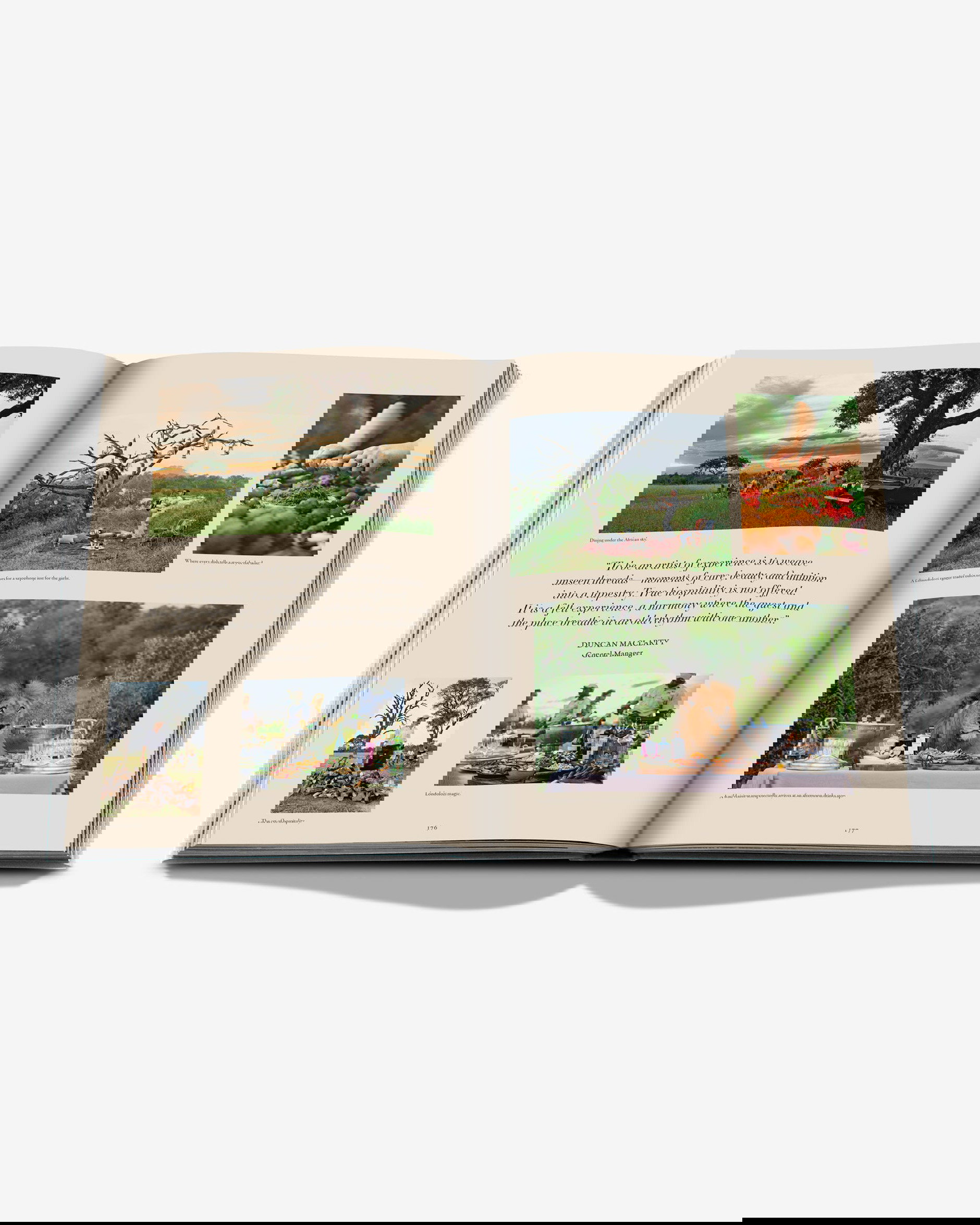 Londolozi, The Safari that Changed Everything