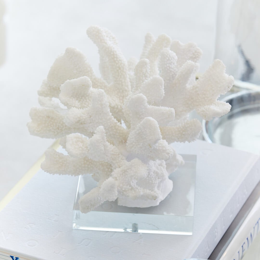 Maya korall hvit