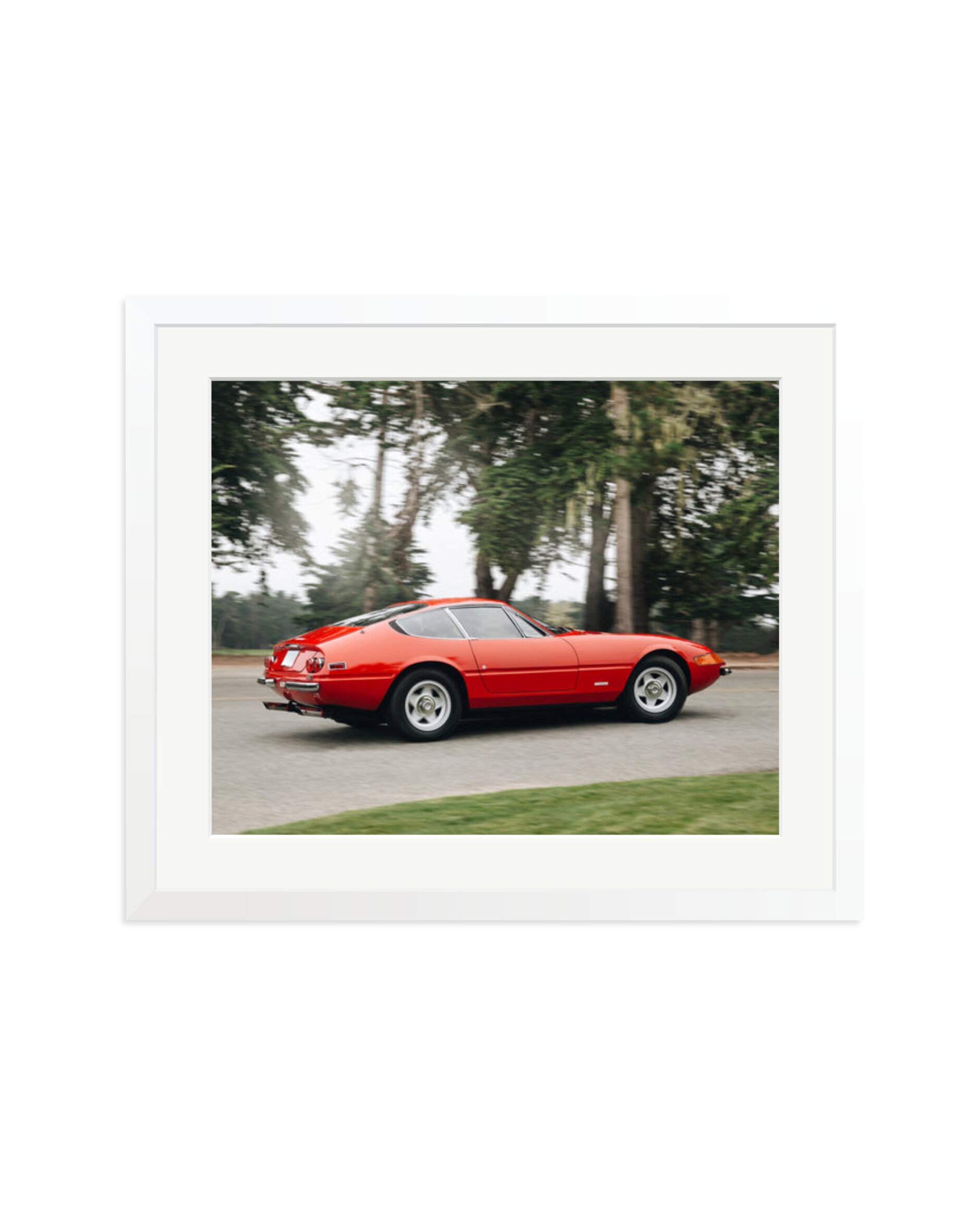 Ferrari Daytona White / Large