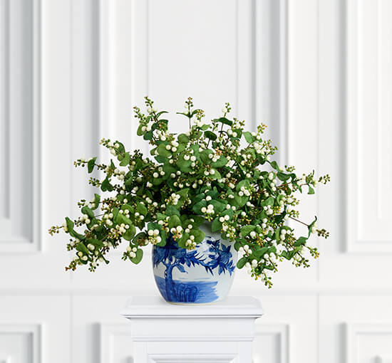 Snowberry Cut Flower White