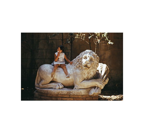 Läs mer om Villa Borghese Lion