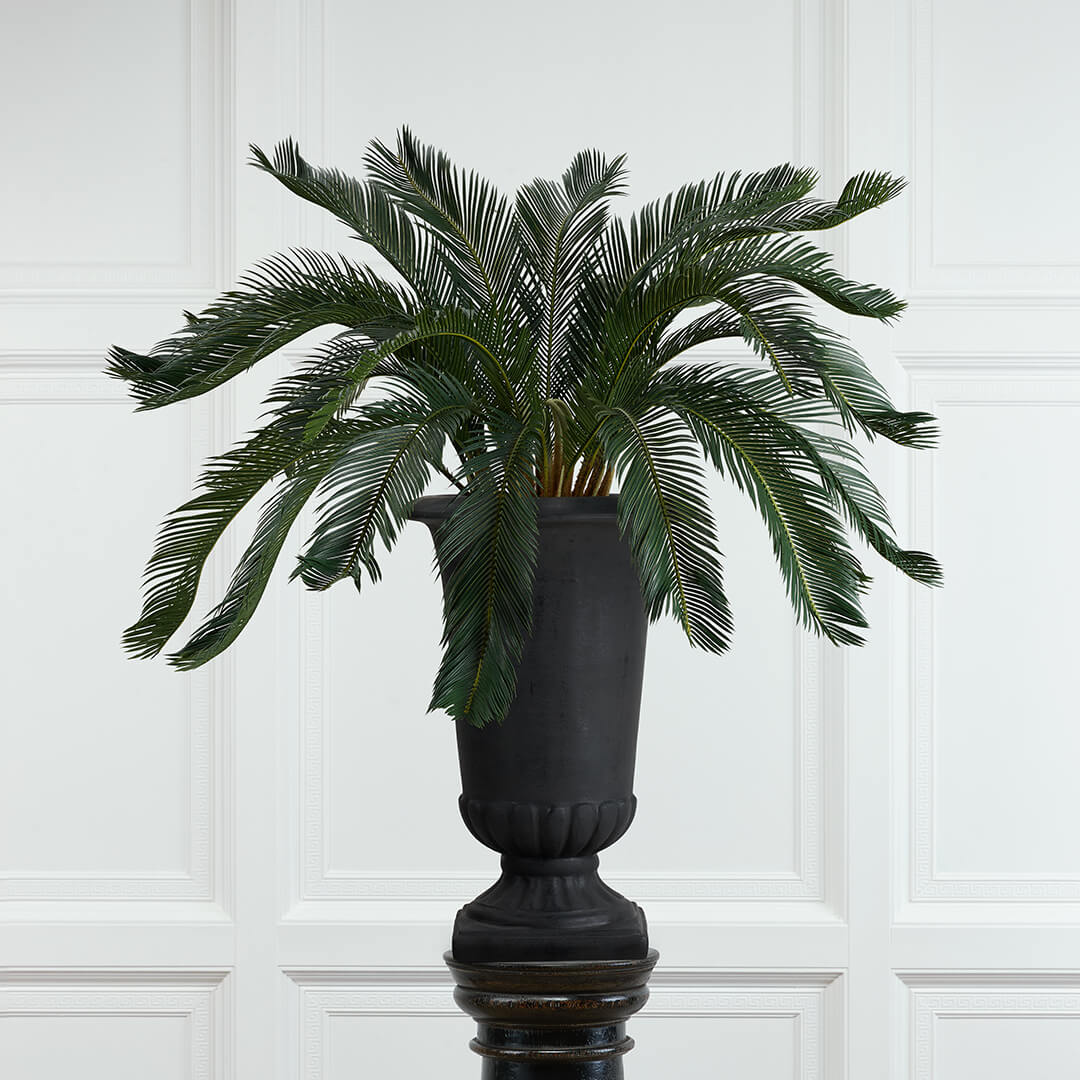 Cycas palm konstträd grön