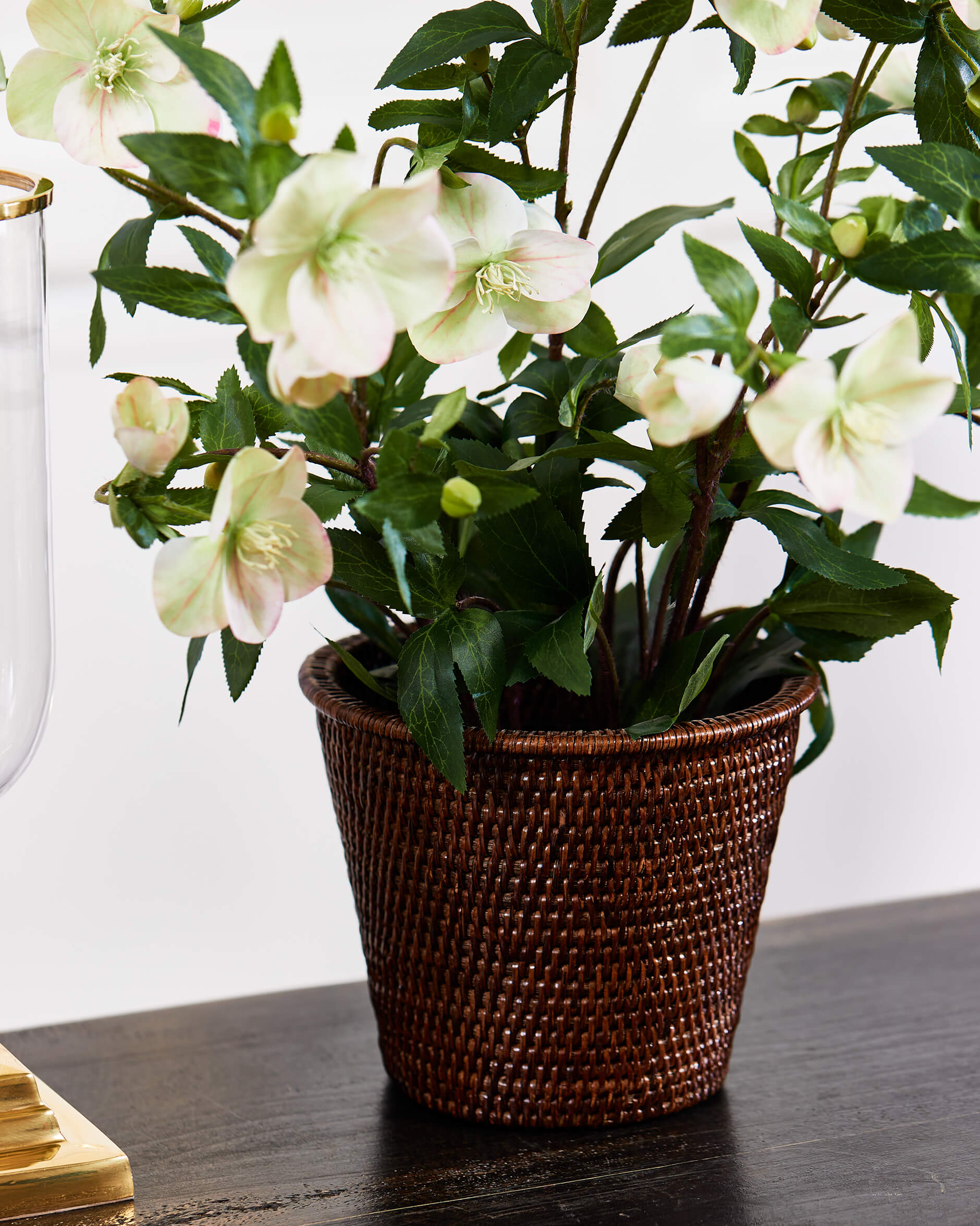 Julros konstväxt vit