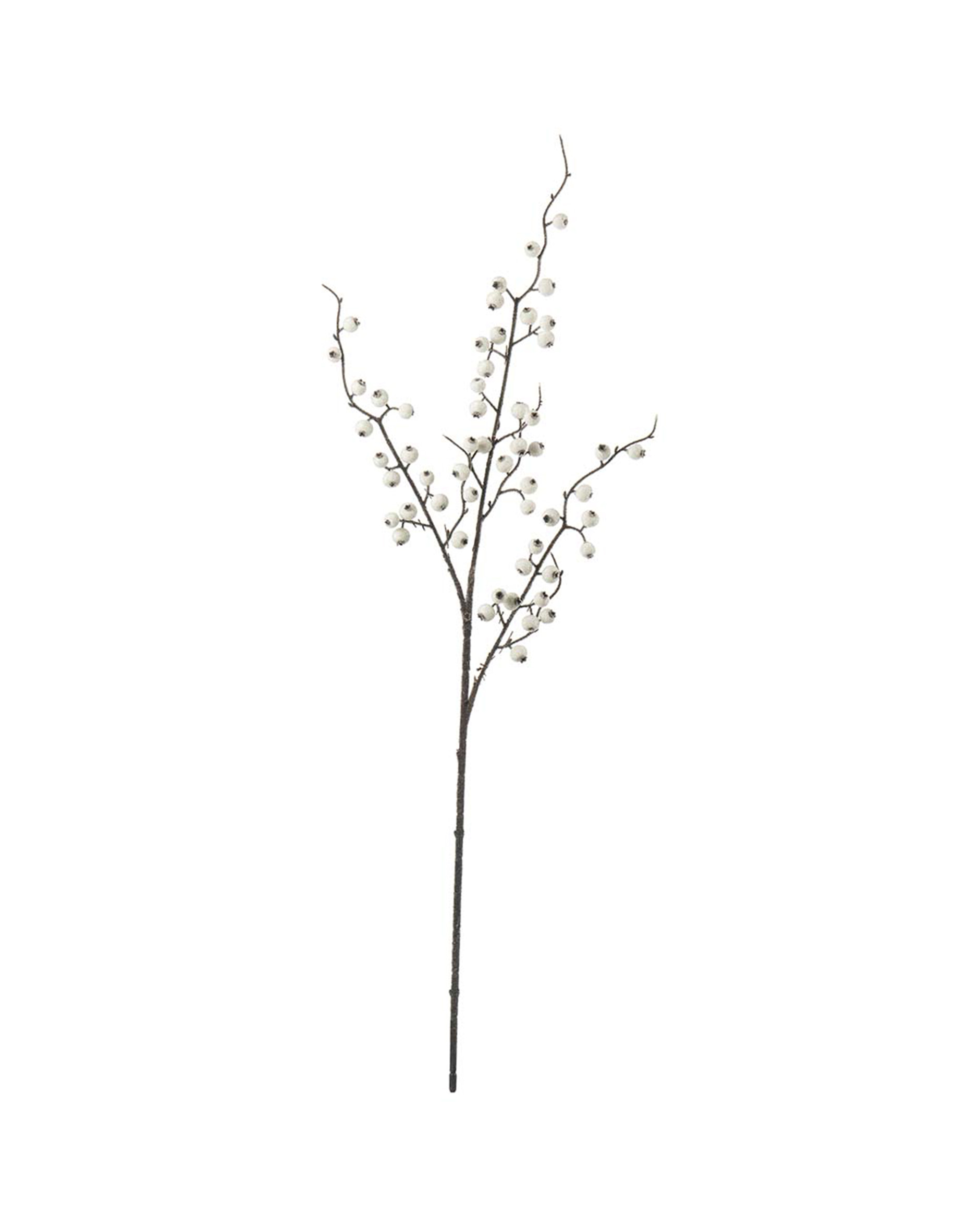 Bärkvist med is snittblomma vit
