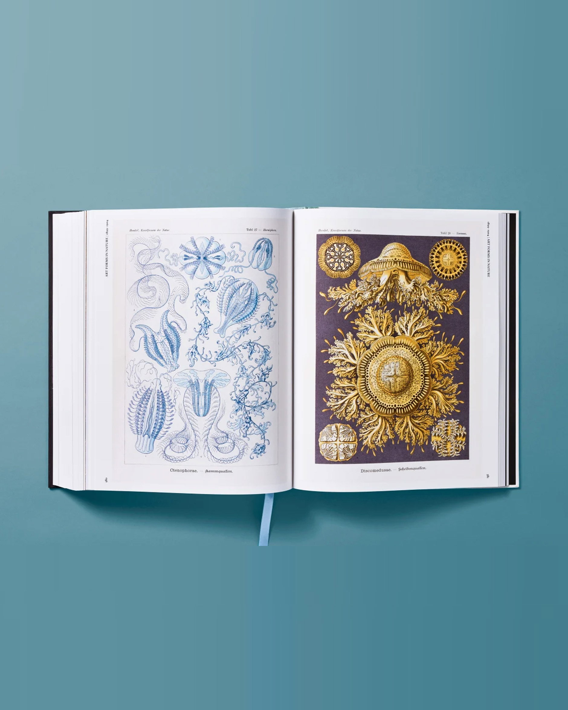The Art and Science of Ernst Haeckel