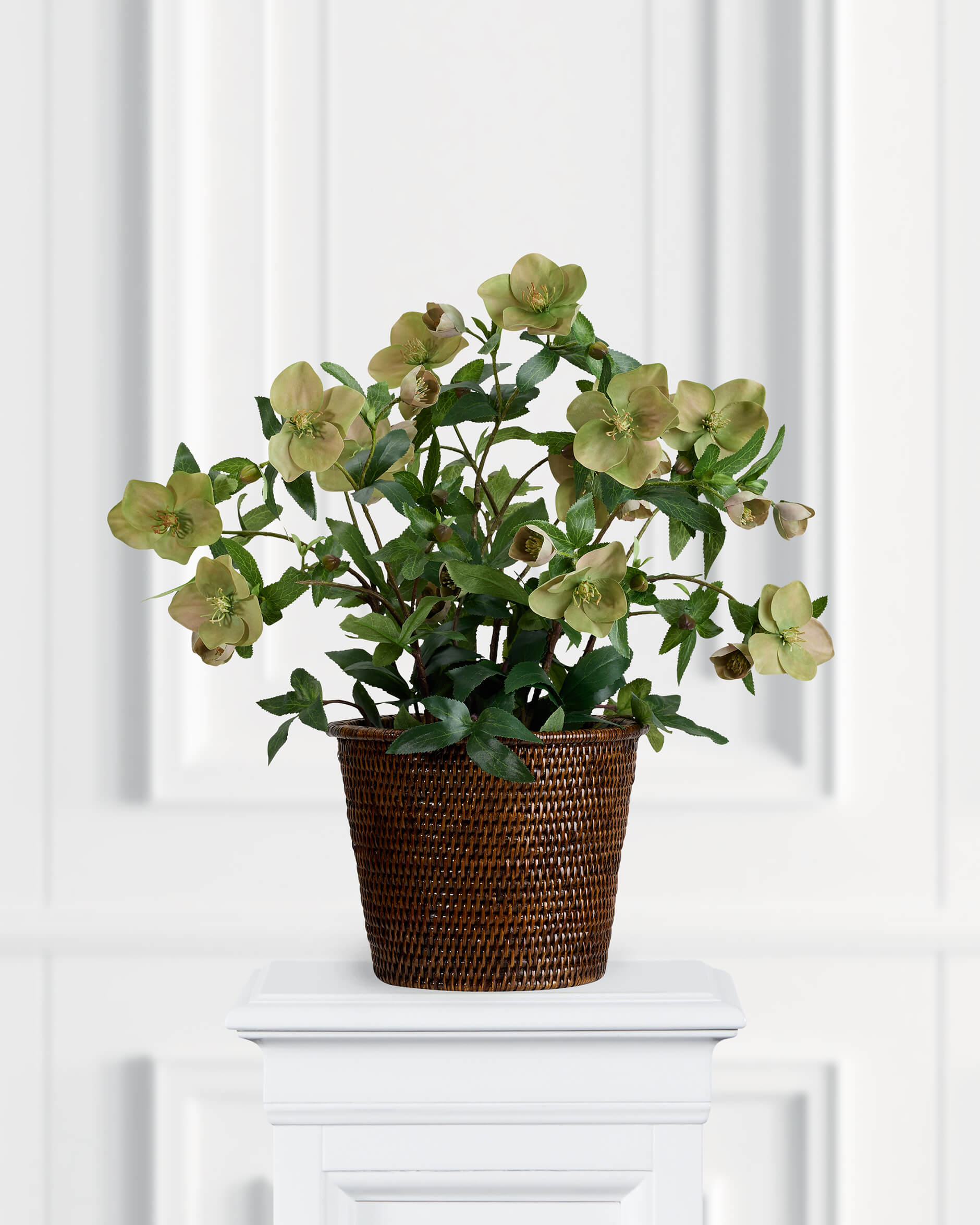 Julros konstväxt rosa