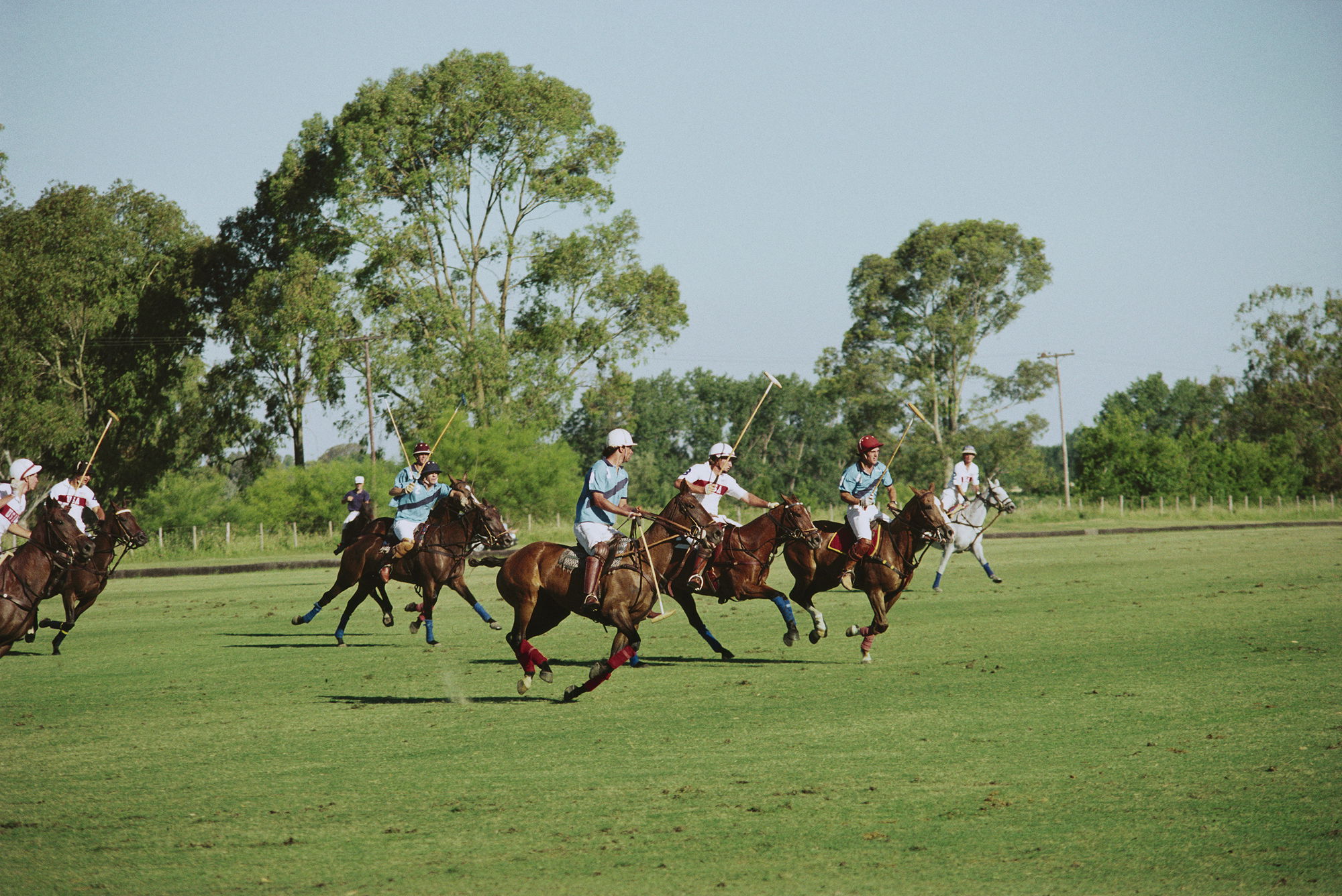 Polo Match