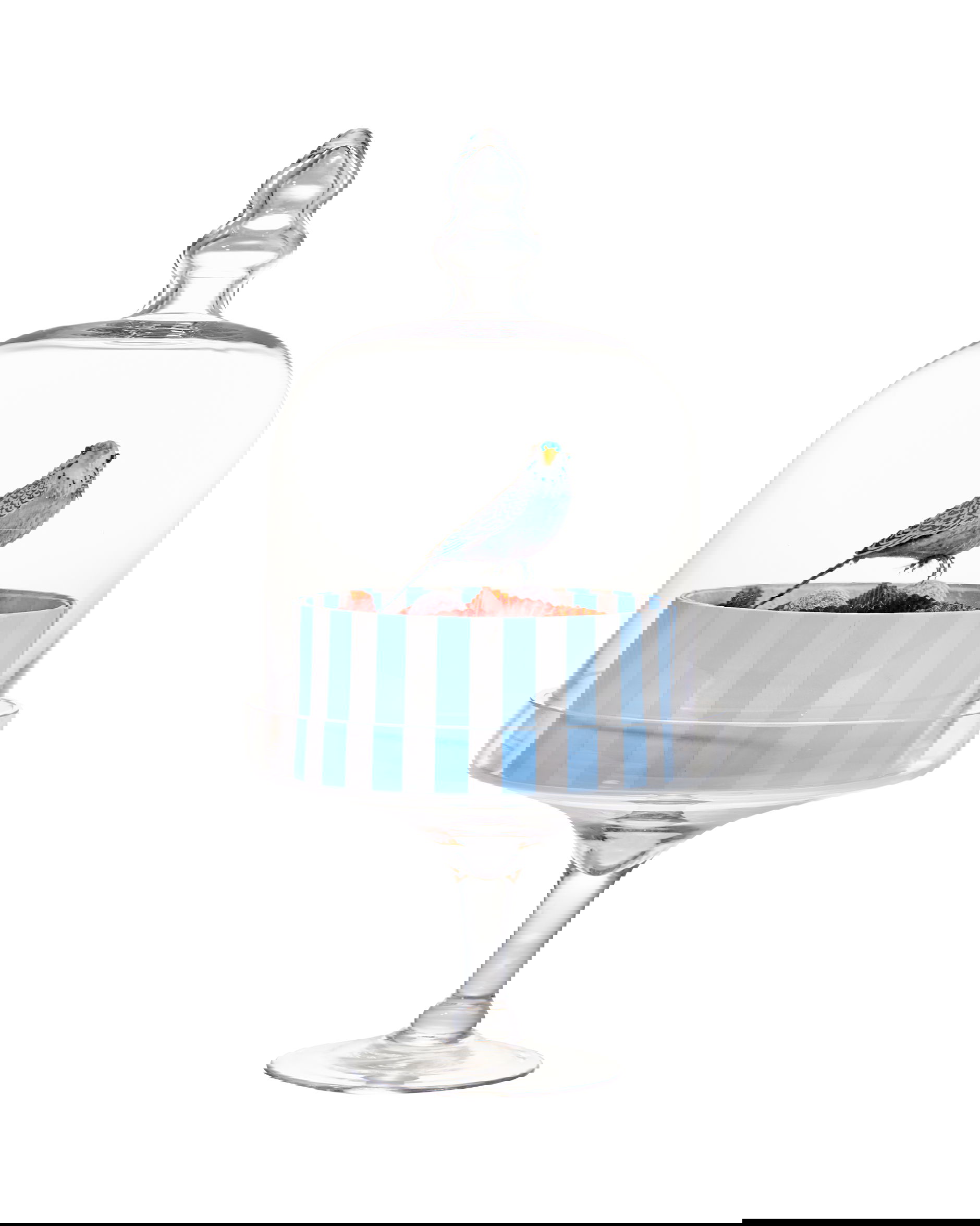 Pistache kakfat på fot