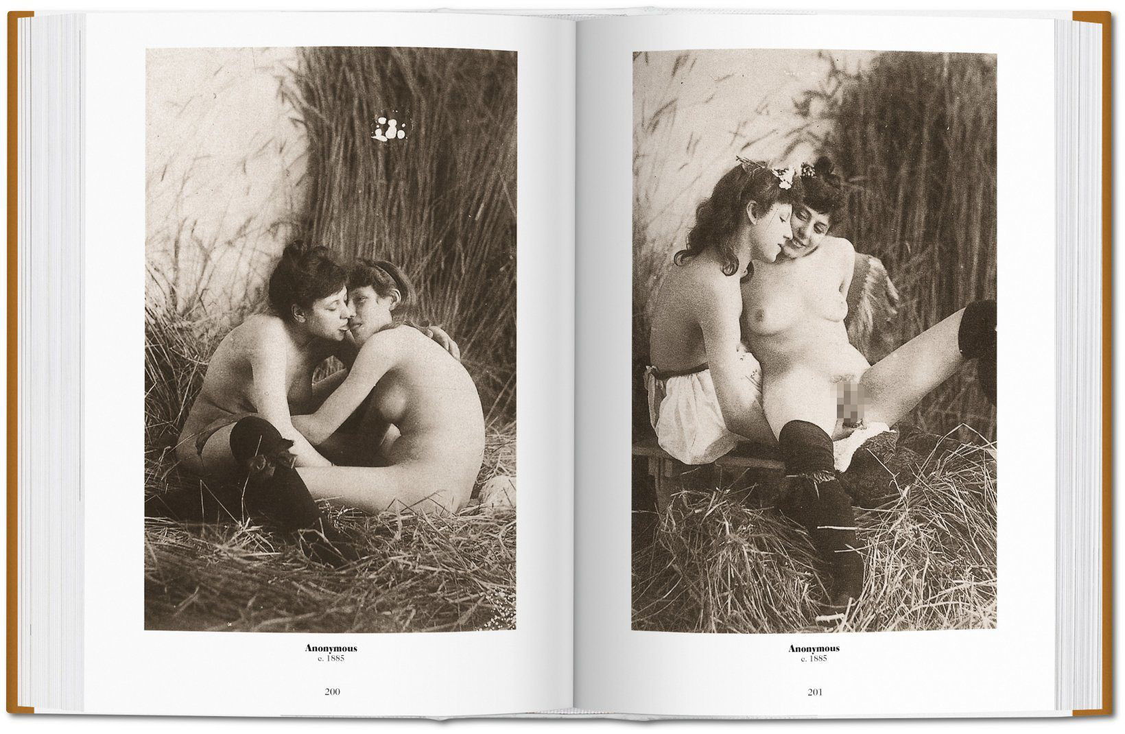 1000 Nudes. A History of Erotic Photography from 1839-1939