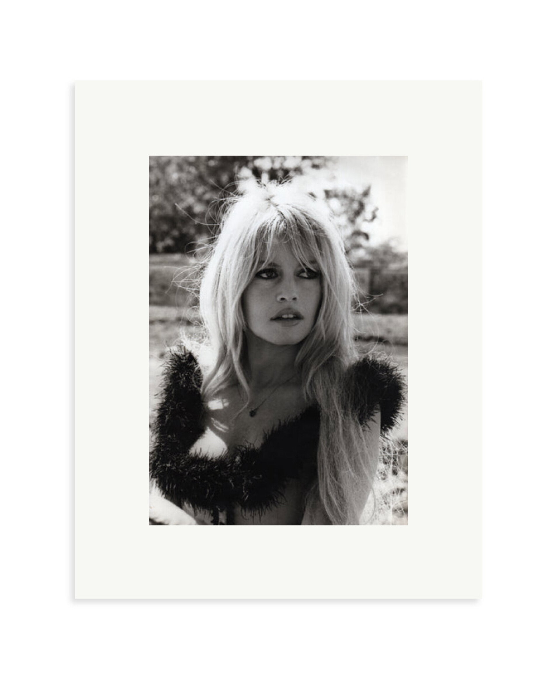 Brigitte in 'Viva Maria' Print Only / Small