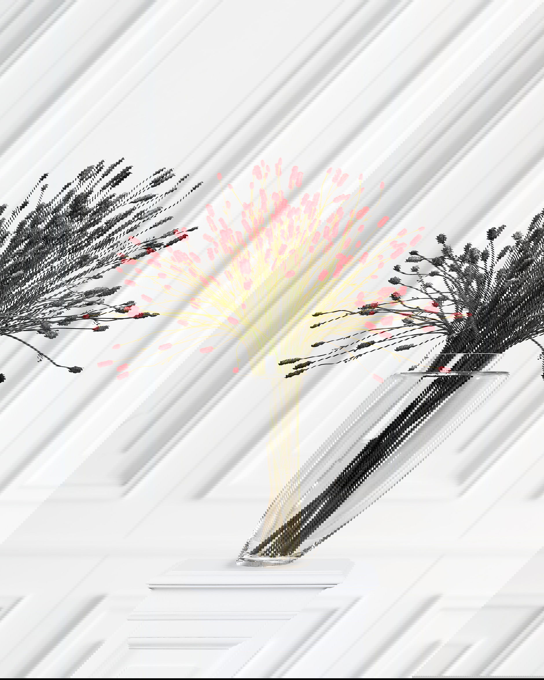 Pimpinell snittblomma burgundy