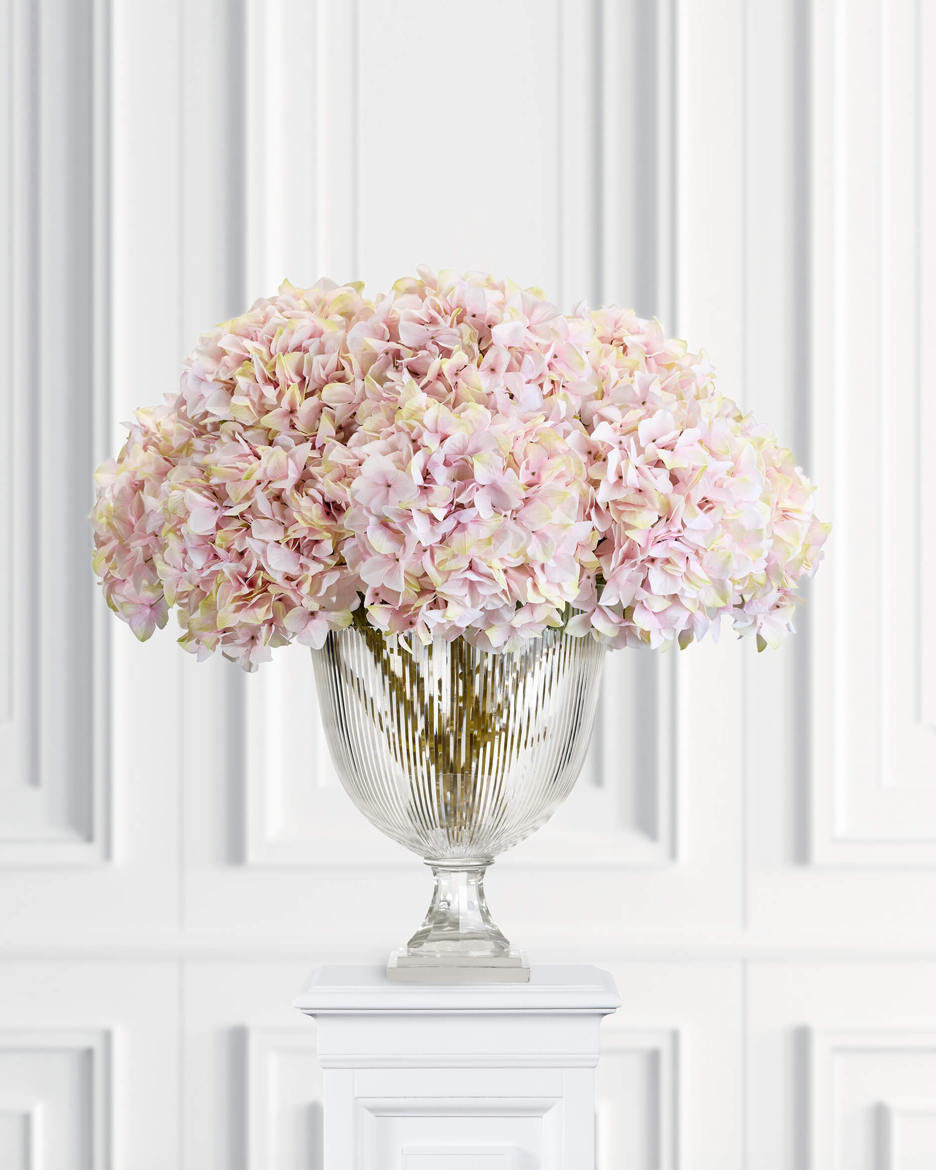 Hydrangea Cut Flower Pink