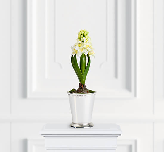 Hyasint kunstig plante hvit